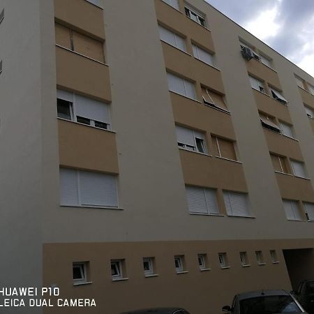 Apartment Mihaela Задар Екстериор снимка
