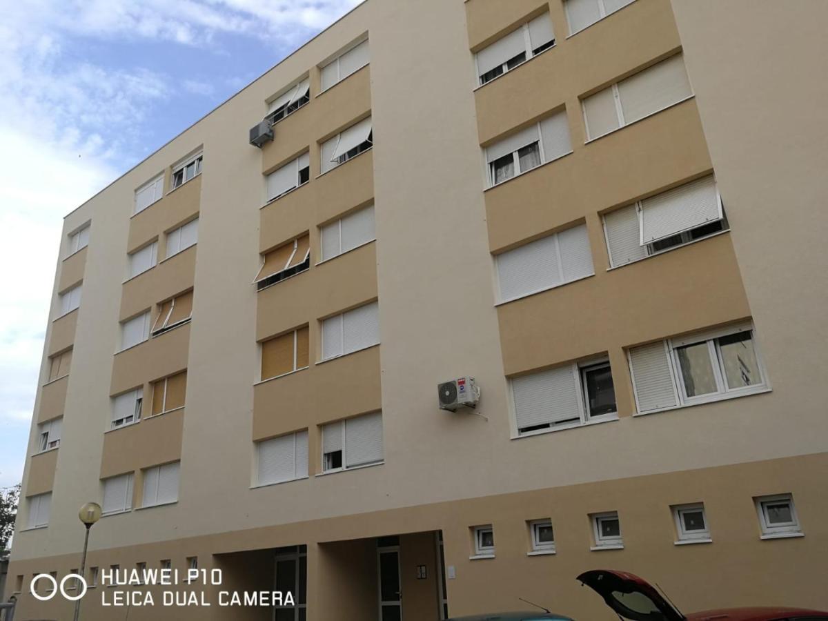 Apartment Mihaela Задар Екстериор снимка